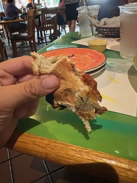 moldy bun on cheese burger