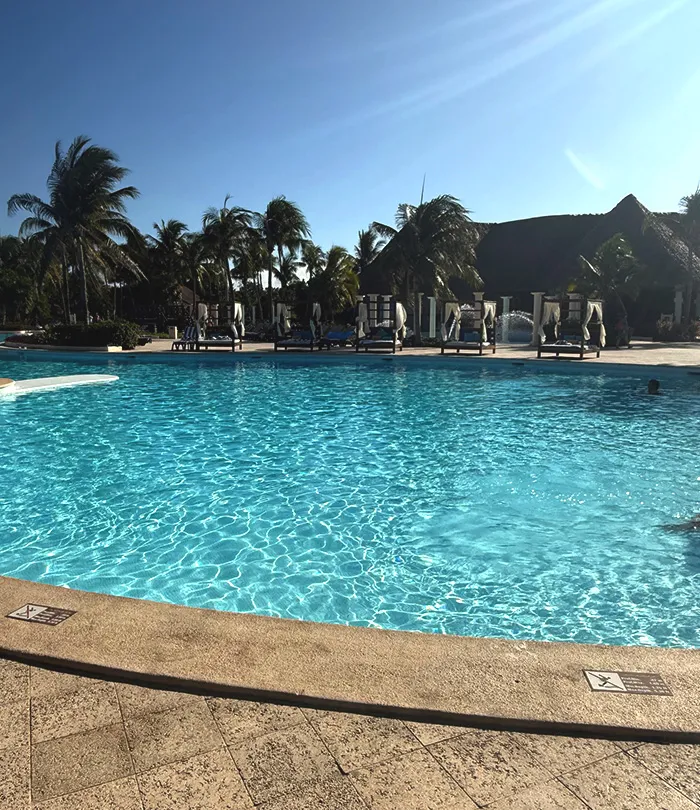 A large outdoor swimming pool with clear blue water, surrounded by palm trees and sun loungers.